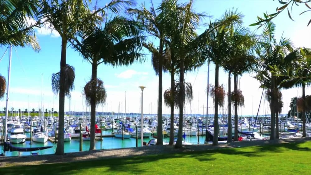 Pine Harbour Marina at Beachlands, palm trees and moored boats on the Pōhutukawa Coast