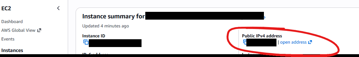 Instance summary showing Public IPv4 address